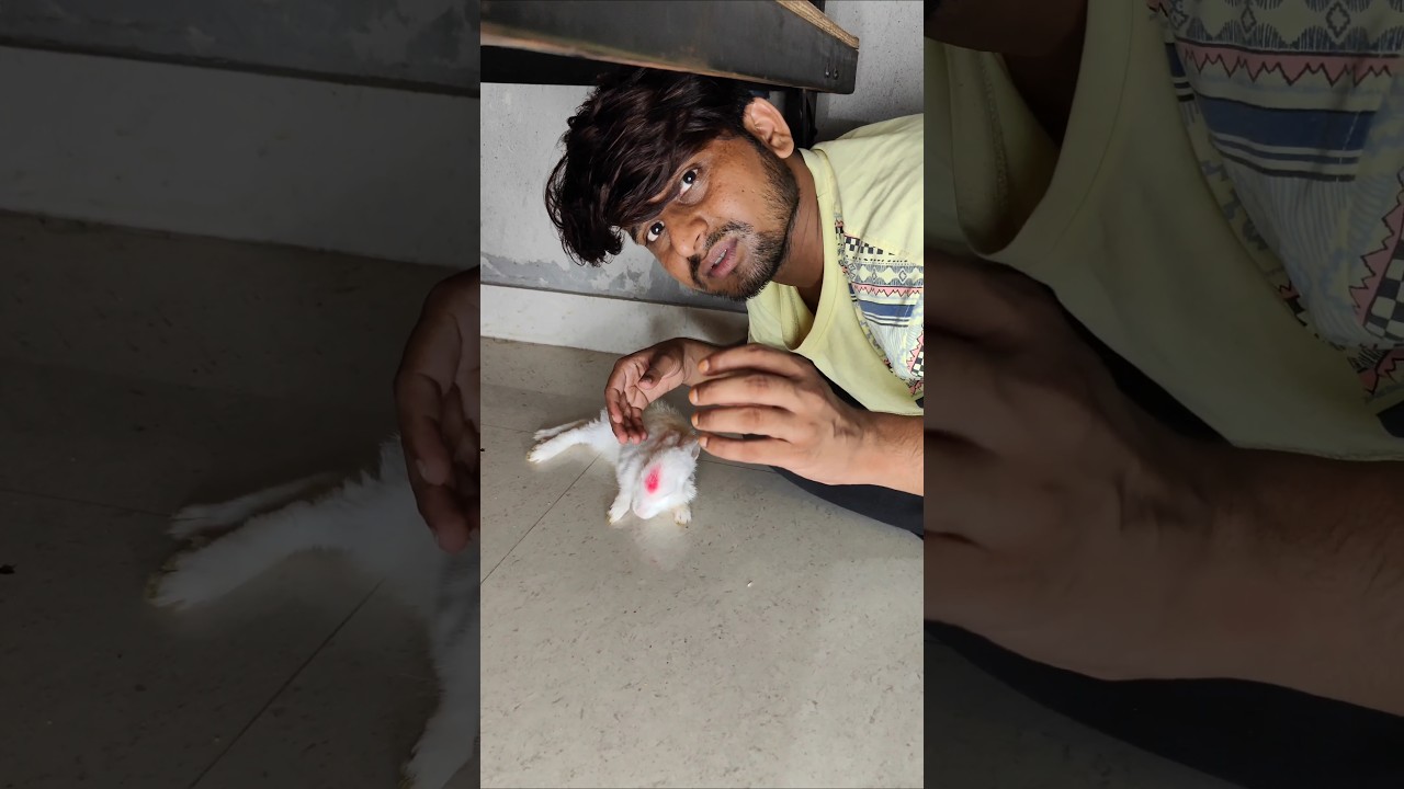 😱Mere Jigloo Ko Ye Kya Ho Gaya😭💔 Gone Wrong