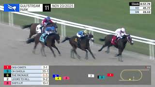 Vidéo de la course PMU MAIDEN CLAIMING