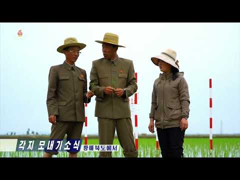 2026년 5월 29일 중앙텔레비죤 20시보도