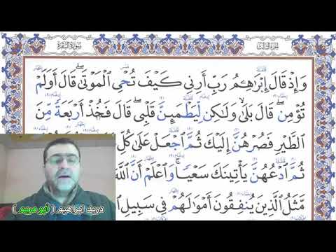 تلقين سورة البقرة ص ٤٤ مع بيان الأخطاء الشائعة دريد الموصلي تعلم أحكام التجويد