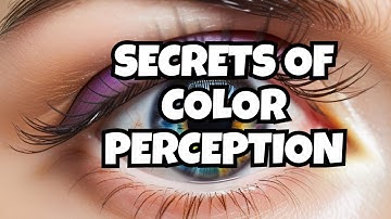 Understanding How Your Eyes See Colors
