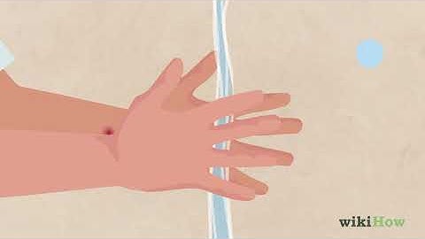 How to Identify a Deer Tick