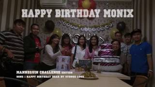 Mannequin Challenge Edition _ Birthday Party