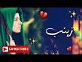 حالات واتساب سيد فاقد زينب تلكيني زينب حيل مابيه