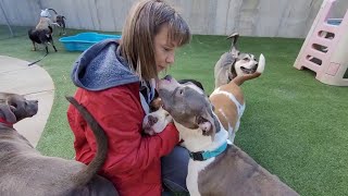 Good Friday Unleashed Playgroup by Friends of the Cuyahoga County Animal Shelter 738 views 2 years ago 7 minutes, 45 seconds