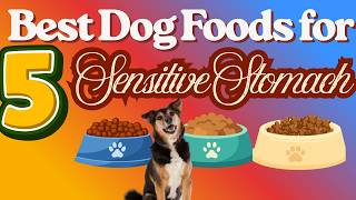 ✅Top 5 Best Dog Foods for Sensitive Stomach of 2026