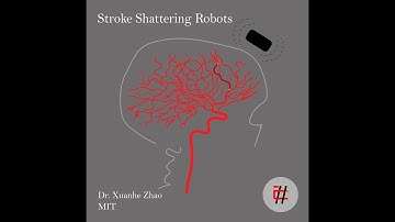 6.Stroke Shattering Robots with Dr. Zhao