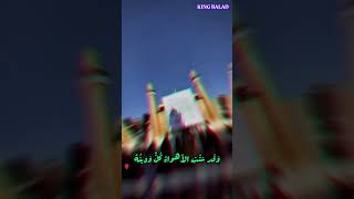 لا زلت شيعيا على دين جدتي/محمود اسيري/ستوري