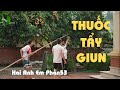 Hai Anh Em Phần 53 | THUỐC TẨY GIUN | Phim Hài Mới Nhất 2020 | Phim Học Đường Hài Hước Gãy TV