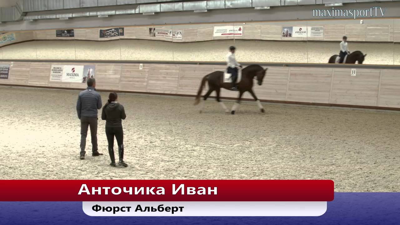 Мастер-класс «Тренинг молодых лошадей и судейство соревнований для молодых лошадей» 30.04.15 - 2