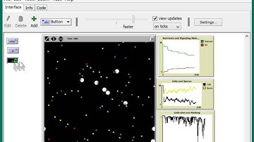 Flocking Model in Netlogo