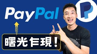 PayPal終於爆發！用戶人數意外增加：股價仍嚴重低估？ PYPL美股分析