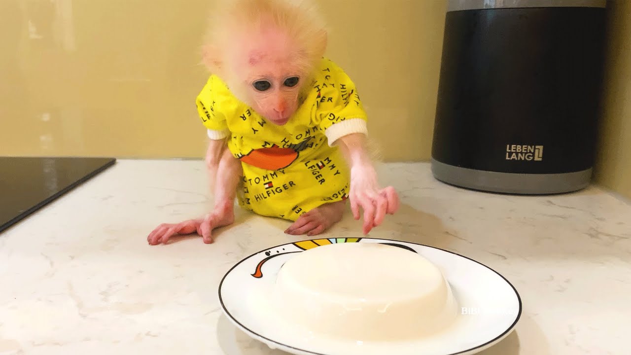 Dad makes yummy cakes for baby Bibi to eat and grow up