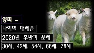 (양띠 운세) 나이로 보는 올 해 운세 (2020년 후반기 운세)