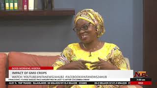 Good Morning Nigeria: Impact of GMO Crops | 7 October 2025 | NTA