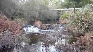 Rio Umia en A Ponte da Pedra. Sequía a 22 de octubre 2011 Codeseda (A Estrada)
