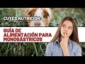 Cuyes Nutrición: Guía de Alimentación para Monogástricos #cuyes #cuyos #cobayas #cobayos #guineapigs