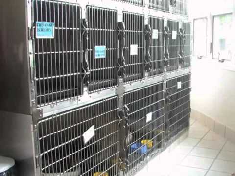Negola's Ark, Veterinary Hospital, Gaithersburg, MD maryland board of nursing