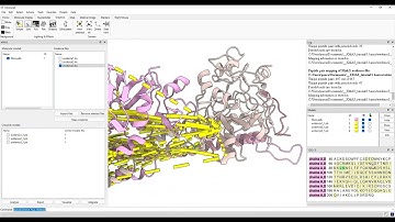 XMAS/ChimeraX - Basics