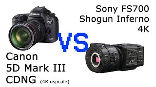 4K Quality On Sony Fs700Inferno Vs Canon 5D Mark Iii Cdng Upscale