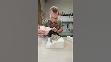 First casting! My favorite step of the slipcasting process #ceramics #slipcast #moldmaking #starfish