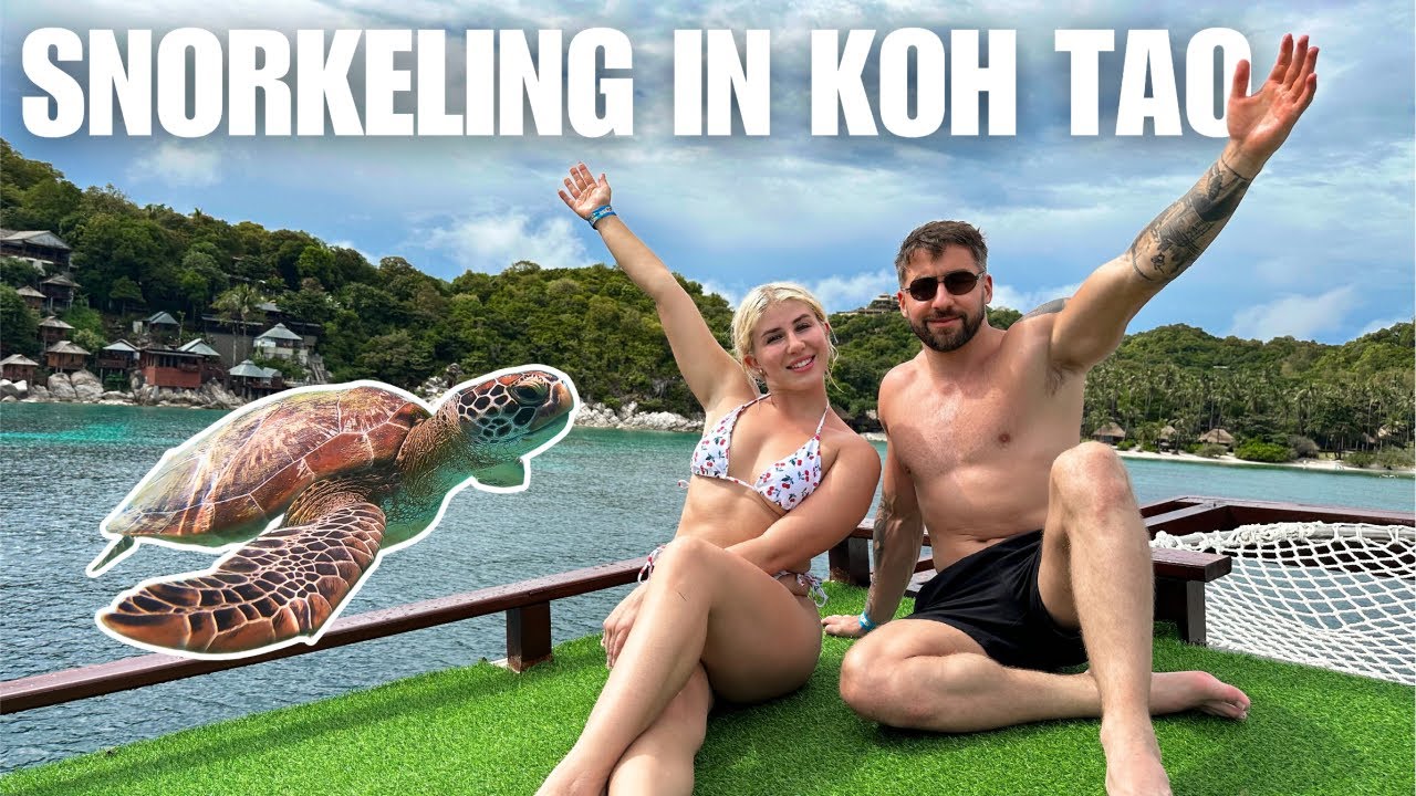 BEST Snorkeling Trip In Koh Tao Thailand (incredible encounters)