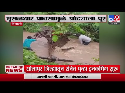 Hingoli | हिंगोलीत ओढ्याच्या पुरात बैलगाडी वाहून गेली-tv9