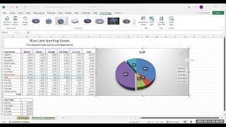 Excel - Chapter 3 Excel Project
