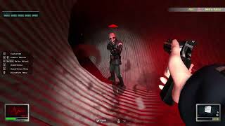 Garry's Mod: Half-Life 2 with Red Dead Redemption 1 OST (Stem Controller)
