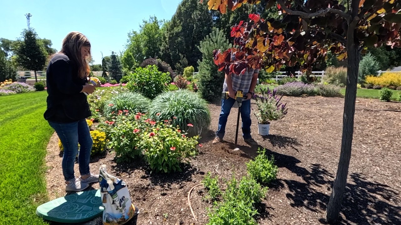 Planting So Many Beautiful Things! 😄🙌🌿 // Garden Answer - YouTube