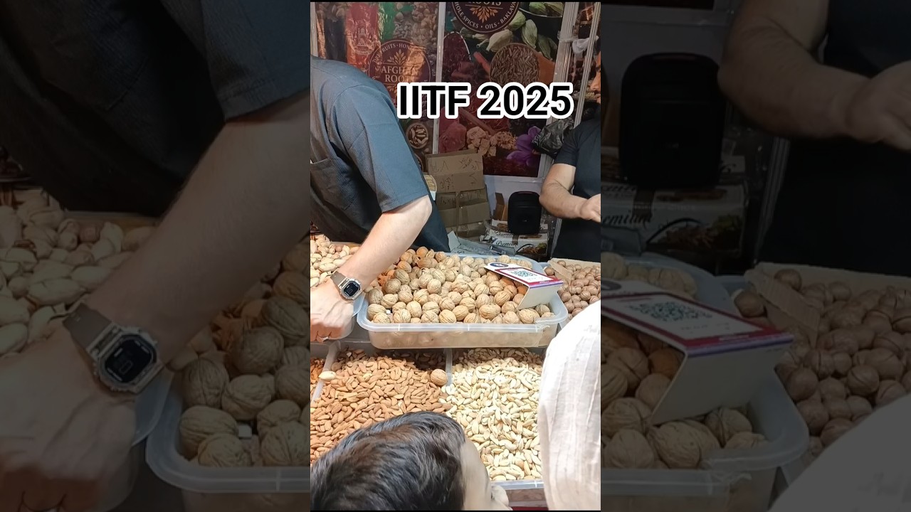 IITF 2025🌸 