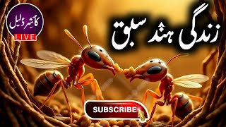 Kashir Daleel | زندگی ہنٛد سبق | Kashmiri Folk Story with Illustrations