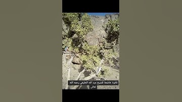٦ أبريل ٢٠٢٢تلاوة خاشعة للشيخ عبد الله الخليفي رحمه الله تعالى