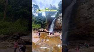 Wayanad Must Visit Places | Top 5 Tourist Spots in Wayanad & Travel Guide 2026 #wayanad #tnexplorer