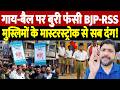 गाय-बैल पर बुरी फंसी BJP-RSS, मुस्लिमों के मास्टरस्ट्रोक से सब दंग! | cow national animal |