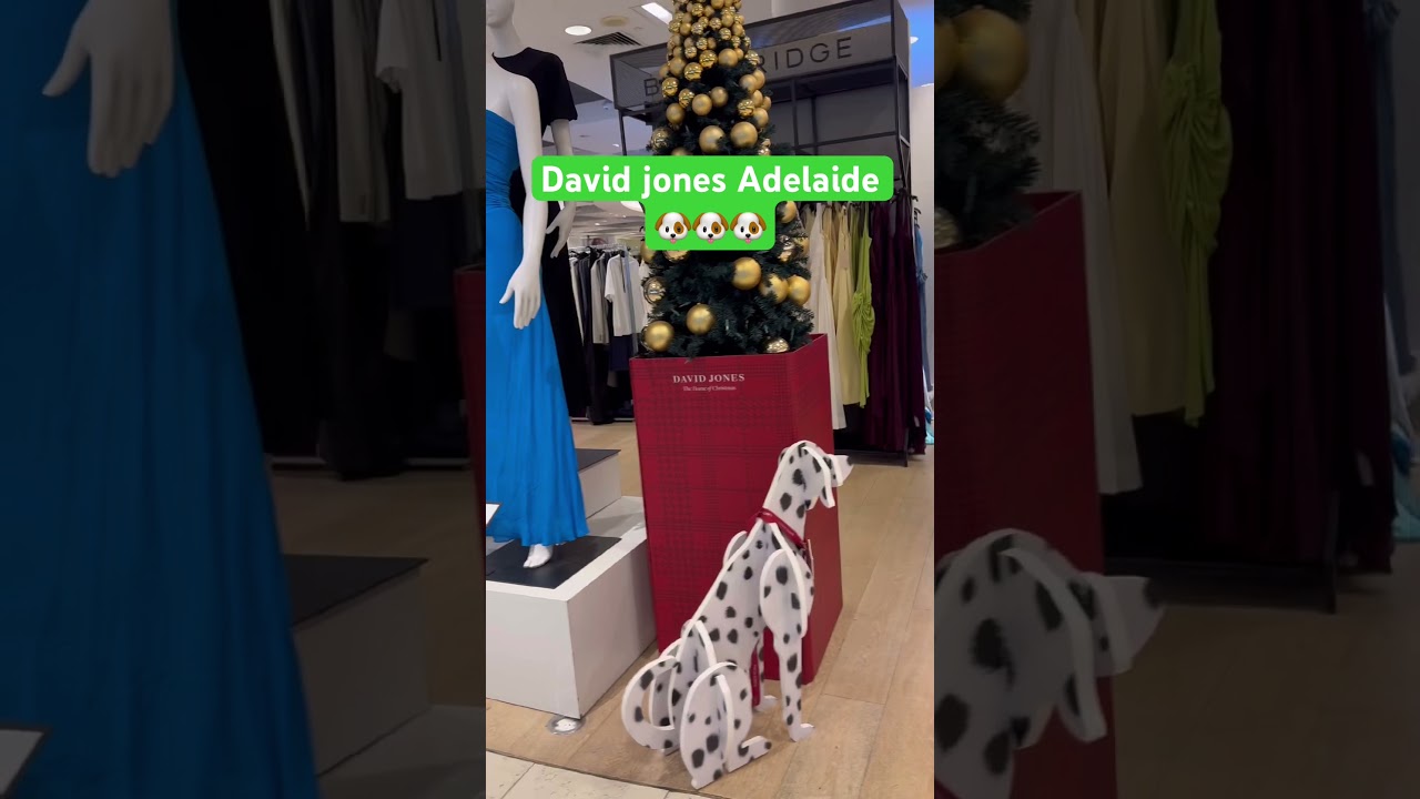 David Jones Store 