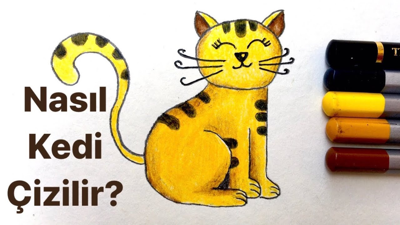 Nasıl KEDİ Çizilir?🐈 KOLAY ÇİZİM YouTube