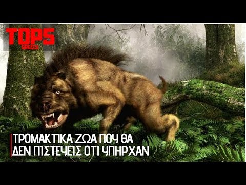 ΤΡΟΜΑΚΤΙΚΑ ΖΩΑ ΠΟΥ