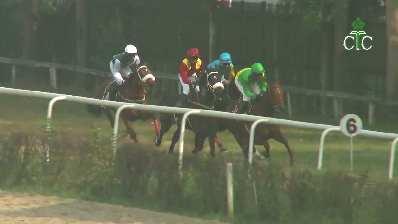 SILVER DREAM wins The Aggregated Plate