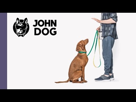 Siad, czyli jak nauczyć psa siadania na komendę - część 1 - TRENING PSA - John Dog