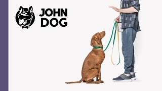 Siad, czyli jak nauczyć psa siadania na komendę - część 1 - TRENING PSA - John Dog