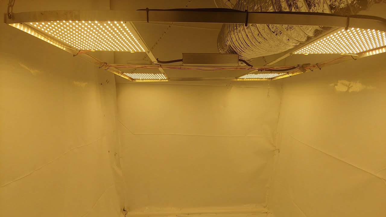 Viparspectra 600 VS V.288 Quantum Boards! Teaser Vid