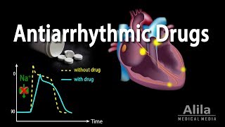Antiarrhythmic Drugs, Animation Resimi