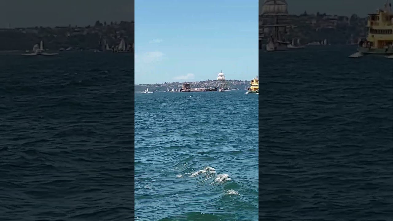 Sydney cruise. #sydney ferry #travel #Sydney harbour