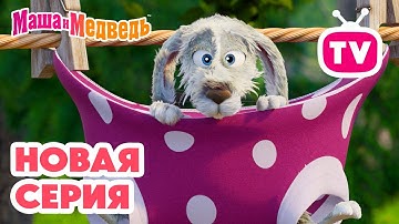 Маша и Медведь 💥 НОВАЯ СЕРИЯ! 💥 Скользкий тип 🧼🐰🥕 Коллекция мультиков про Машу
