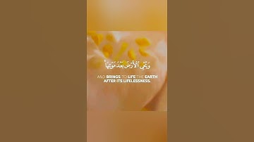 آيات تدل على عظمة الله من القرآن 🌷 صوت جميل حالات واتس دينية قصيرة مؤثرة تلاوة خاشعة Quran status