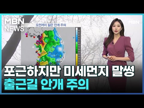 [날씨]포근하지만 미세먼지 말썽…출근길 안개 주의 [굿모닝 MBN]