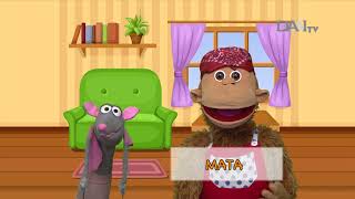 Download lagu Belajar Mandarin untuk Anak Bersama Bitan Part 1 Belajar Mandarin untuk Anak Bersama Bitan Part 1