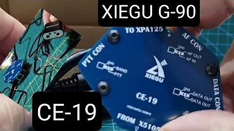 XIEGU CE19 - Digital & Amplifier Interface -Unbox