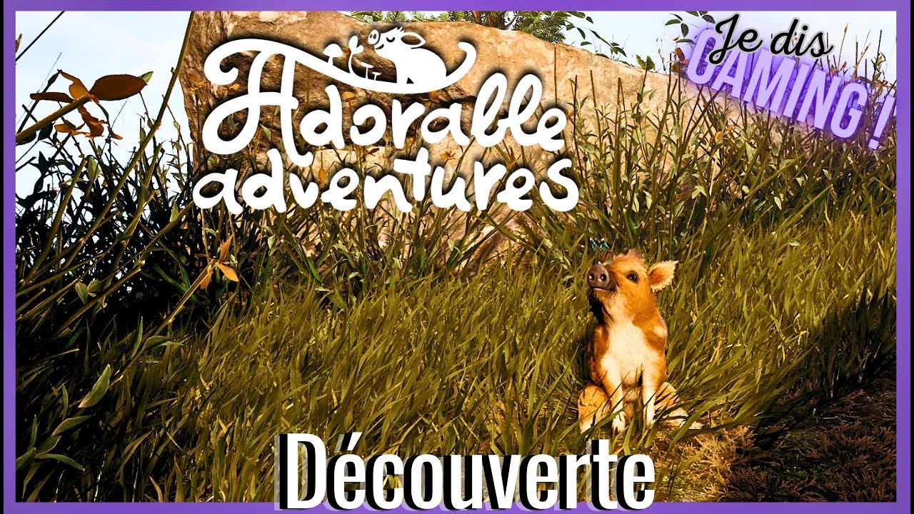 🐗 Adorable Adventures 🌼  | Découverte 